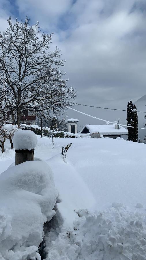 Mansarda la soffitta Aparthotel Domegge di Cadore Exteriör bild